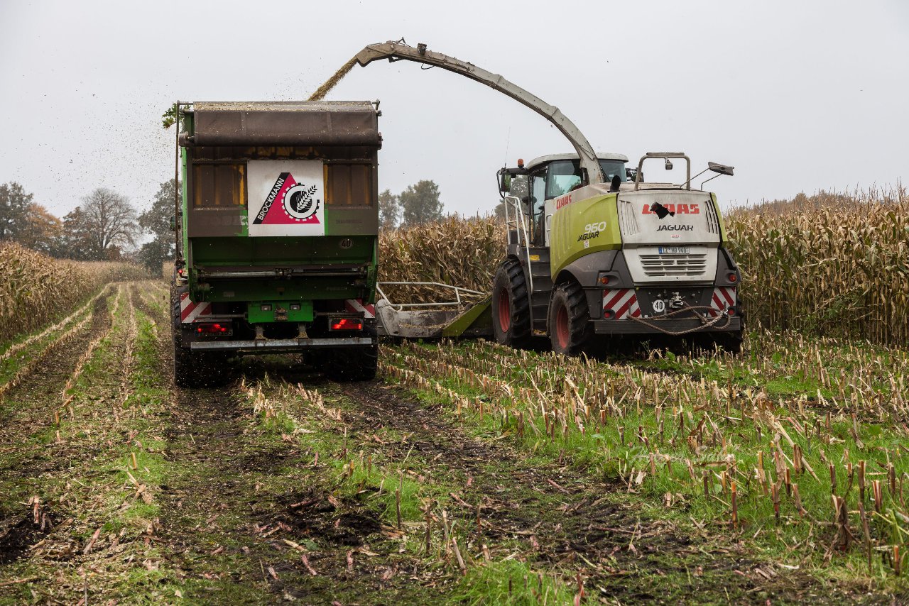 Bild 125 - Biogas am 21.10.12